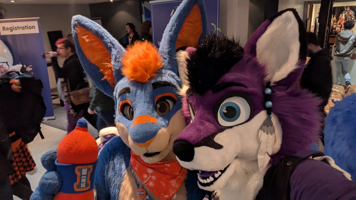 Kumo Fox tweet media