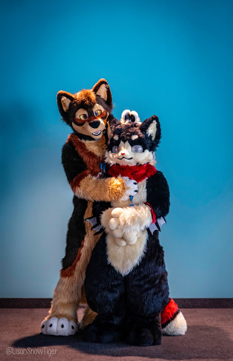 I met a wolf at #FBL13
The size diff is... 😳
🐺<a href="/Luckyspacewolf2/">Luckyspacewolf</a>
📷<a href="/LisanSnowTiger/">Lisan 🔜 NFC 🇸🇪</a>