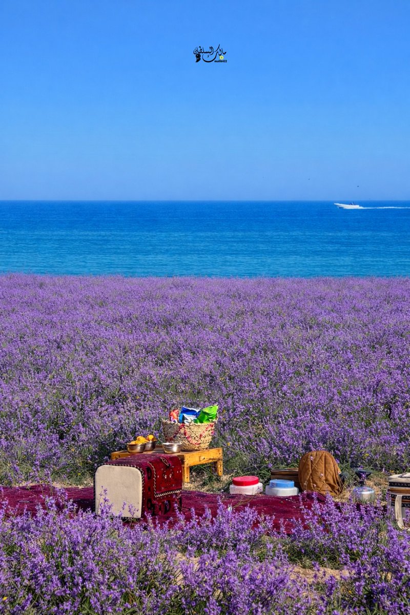 Malliik_'s tweet photo. جمال 🌱💕 🌊 https://t.co/UbufdQrs8k
