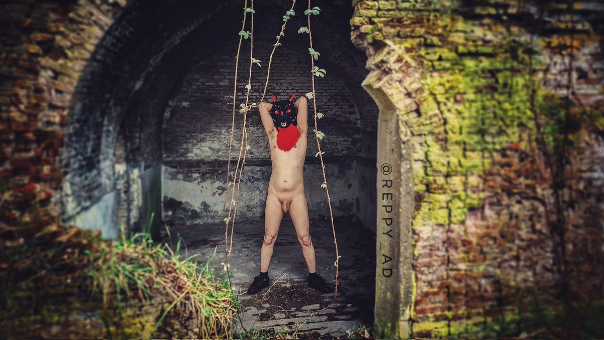 Reppͣyͩ tweet media