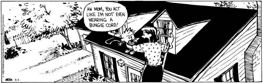 Calvinn_Hobbes's tweet photo. Pushing limits just to see what would happen felt irresistible as a kid. Consequences always came later.
#CalvinandHobbes #TestingBoundaries https://t.co/TB9zKER4lO