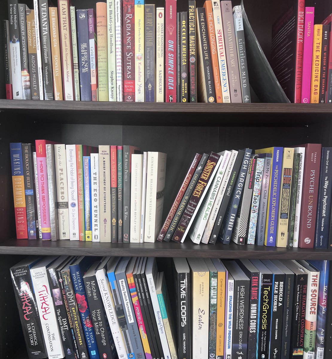 Leah (Prime) 🦊 tweet media