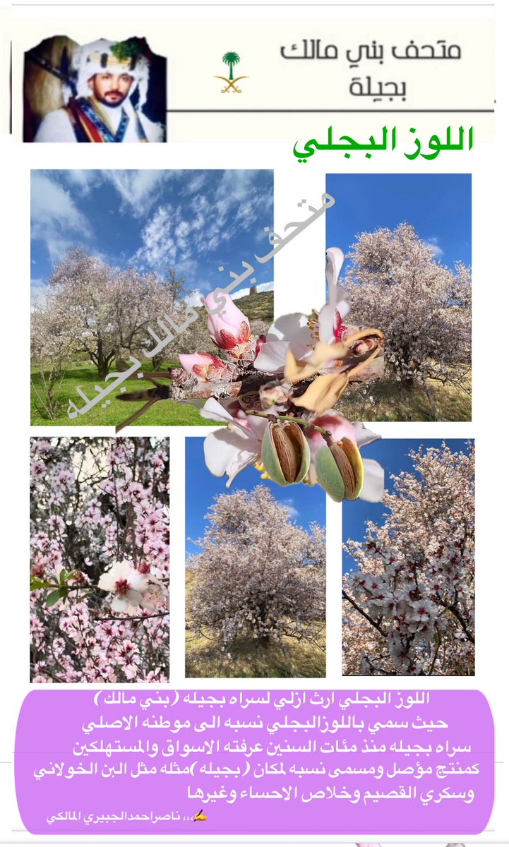 Nasser Almalki (@nasser68432941) on Twitter photo 