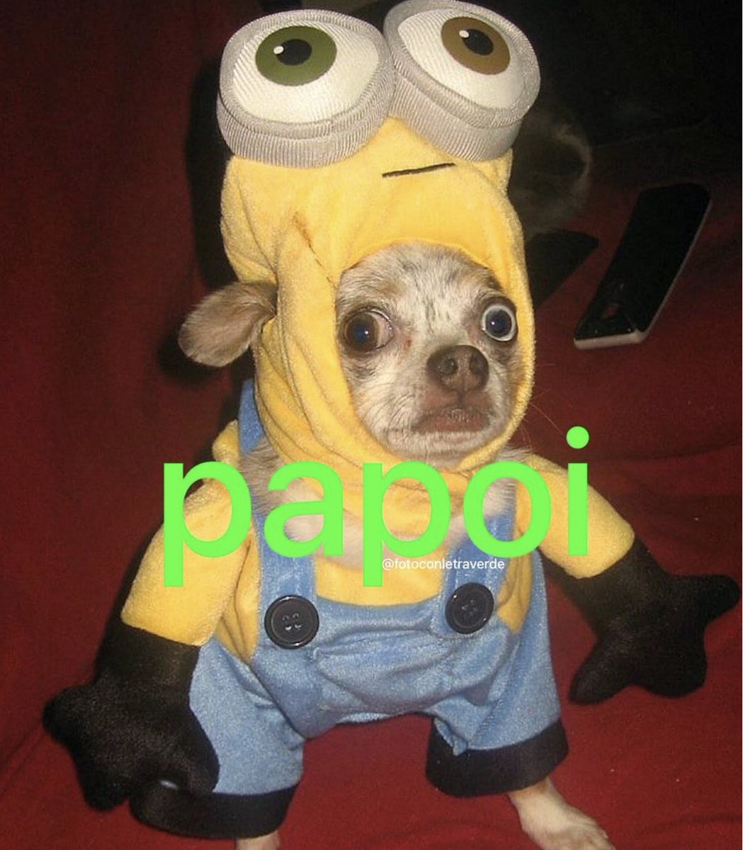 minion bot (@minions7u7) on Twitter photo 