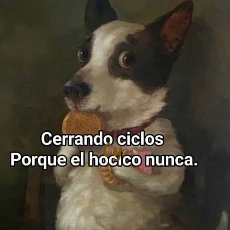 MClabmouse's tweet image. 