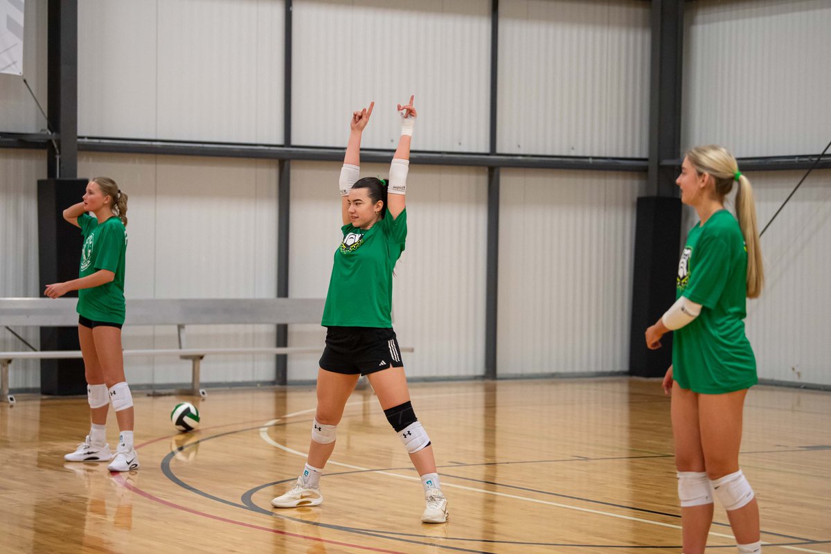 Pineapple High Performance tweet media