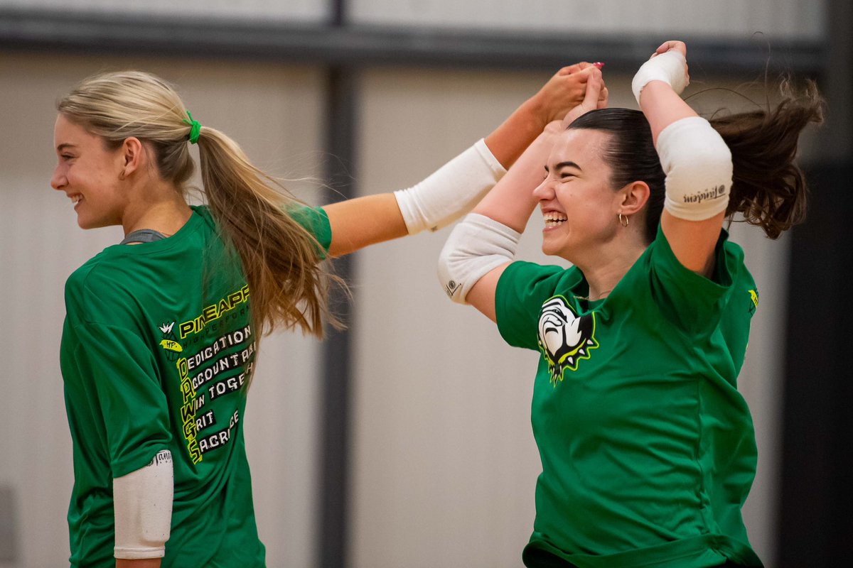 Pineapple High Performance tweet media