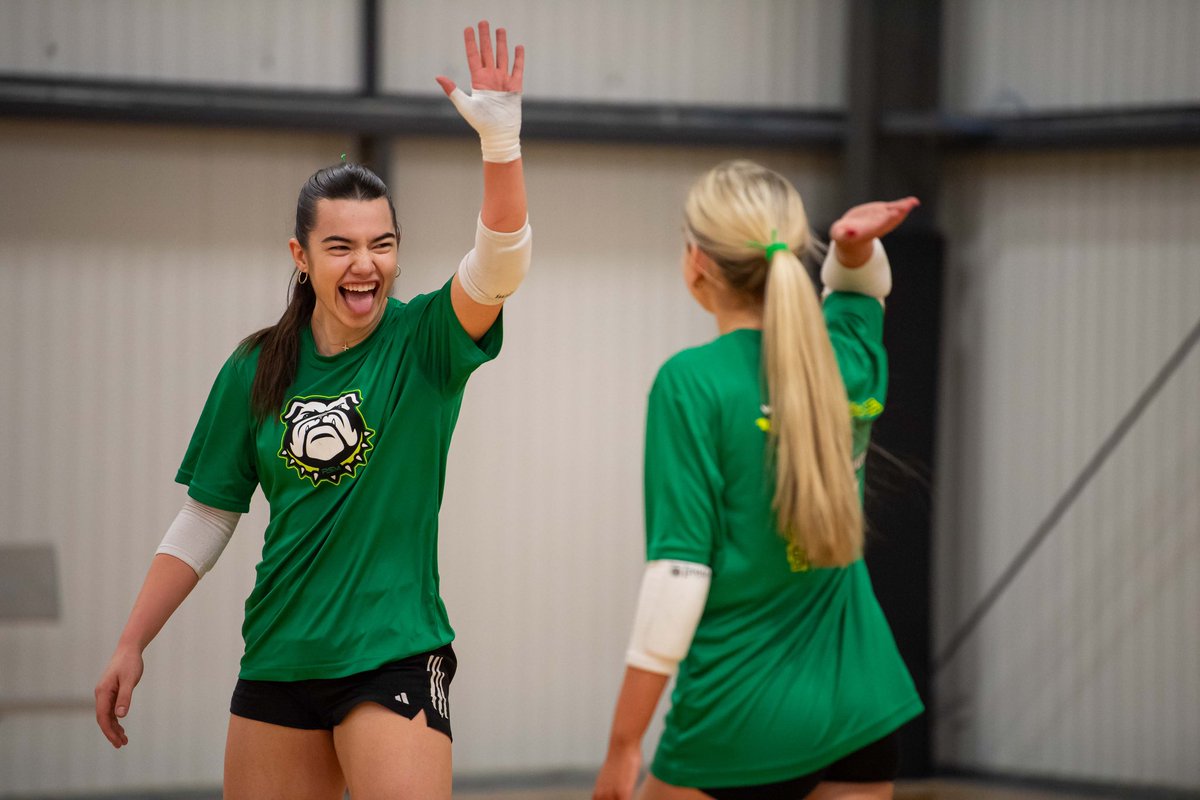 Pineapple High Performance tweet media