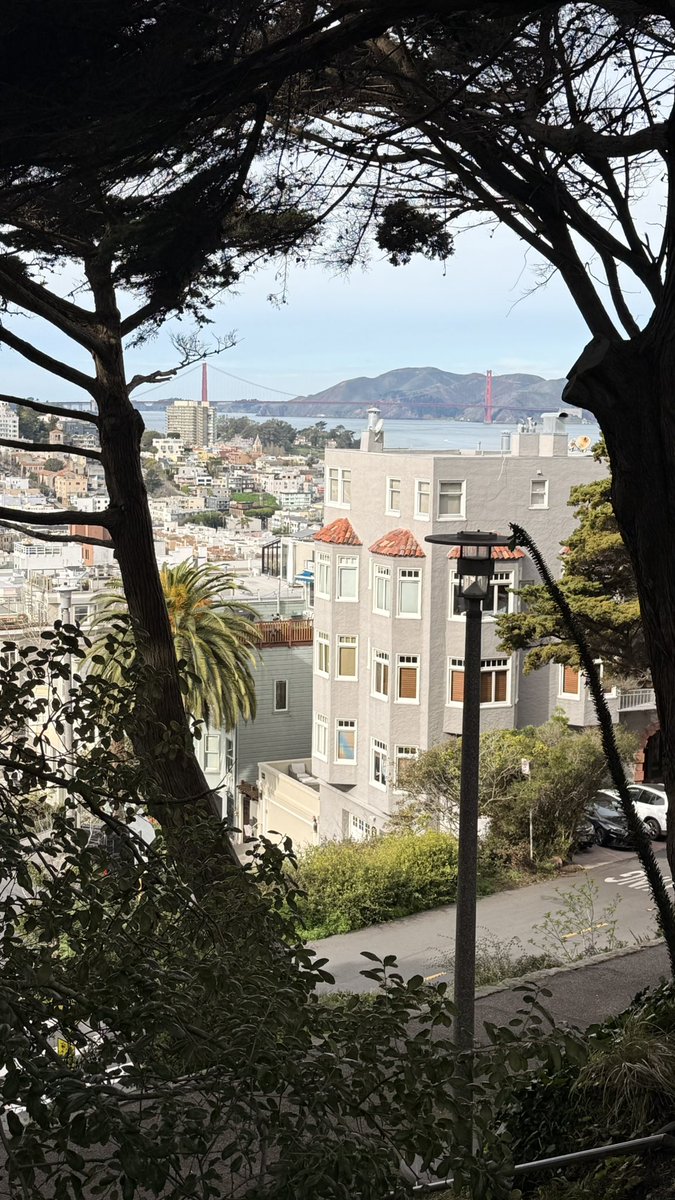 F.P. Santangelo Sr tweet media