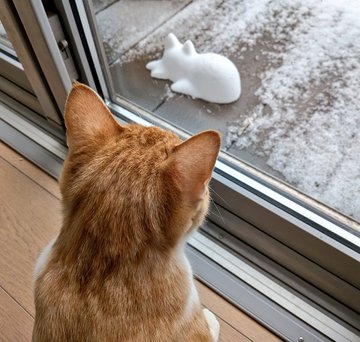 Those AI agents are getting way too realistic