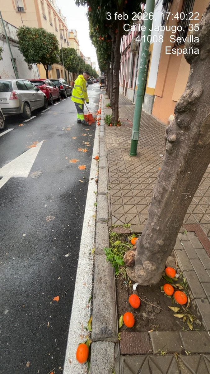 Alejandro J. Mora tweet media