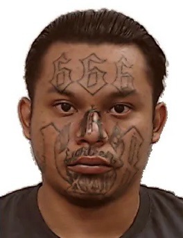 Horrendous crimes such as the distribution of child pornography, drug trafficking, burglary, fraud, human smuggling, even being in a gang like MS13 or Tren de Aragua or being a known or suspected terrorist are considered “non-violent crimes” by the media. 

Take Antonio Israel