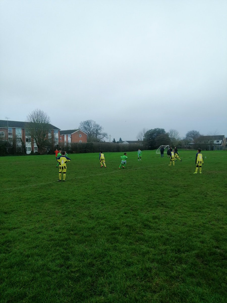 Springfield Primary School tweet media