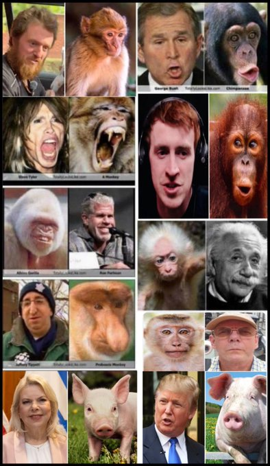 COPPER N AMERICAN INDIAN (AKA) NIIJI🐢 tweet media