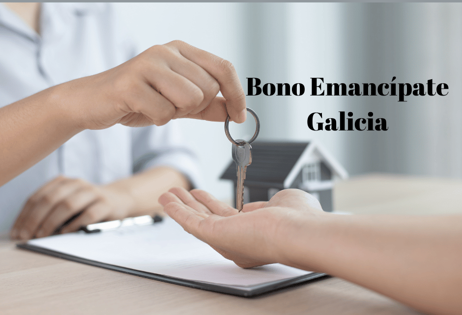 Vigopeques tweet media