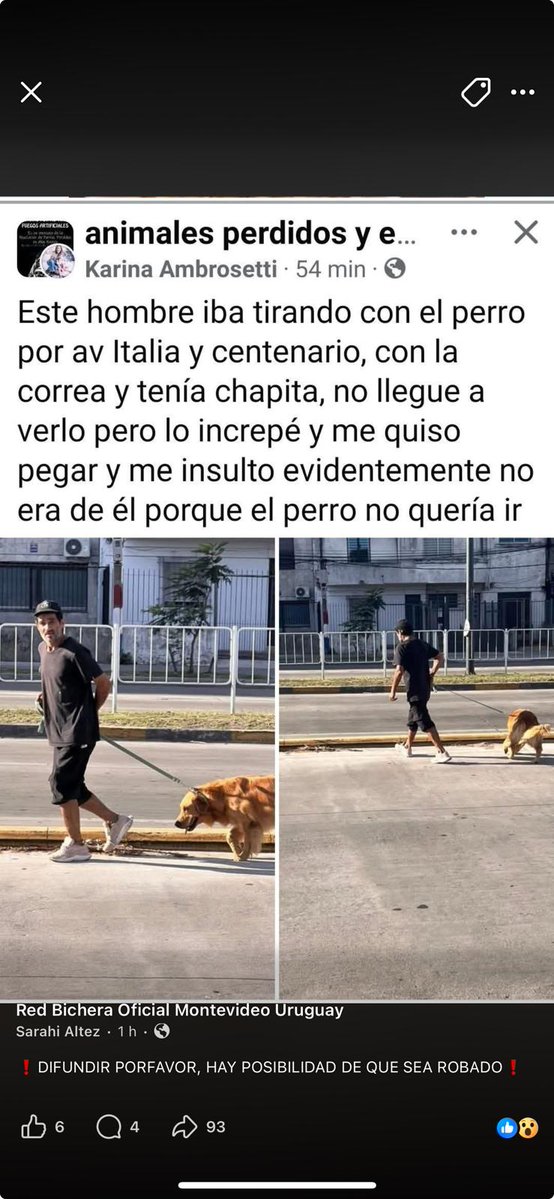 colosaloficial's tweet image. Comparto por si alguien reconoce el perro