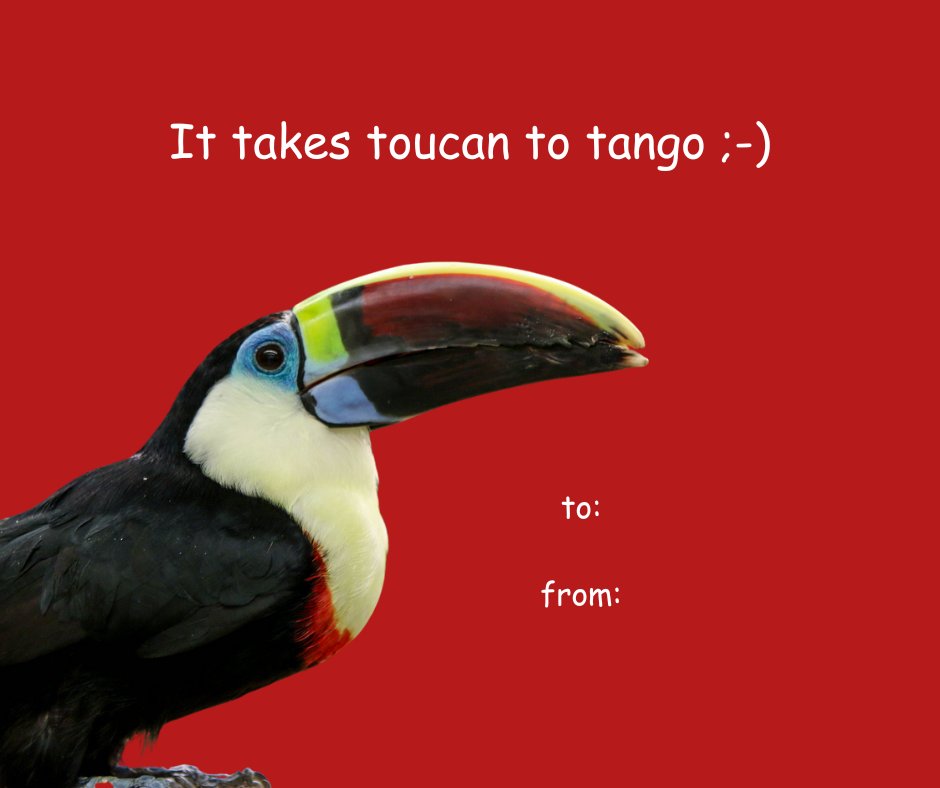 Tracy Aviary tweet media