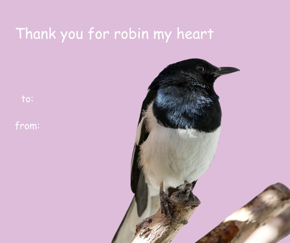 Tracy Aviary tweet media