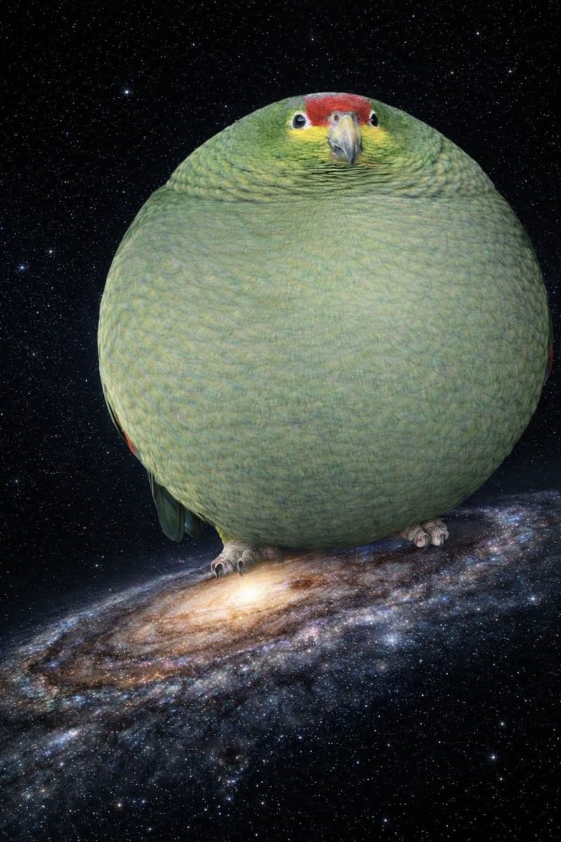 Theodore St. KillGore tweet media