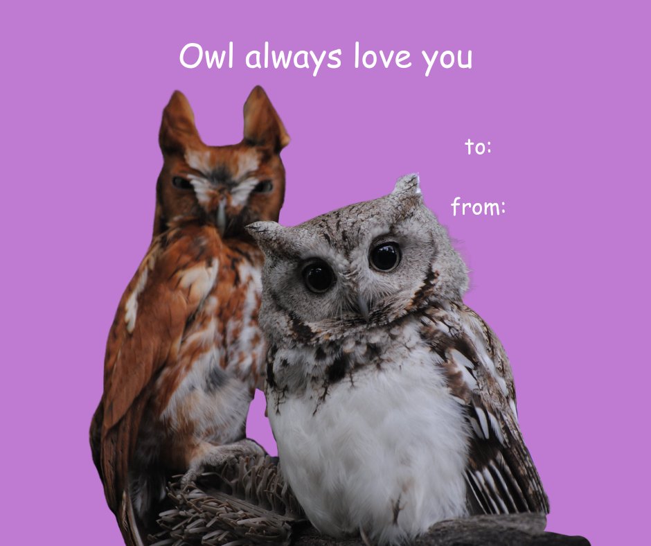 Tracy Aviary tweet media