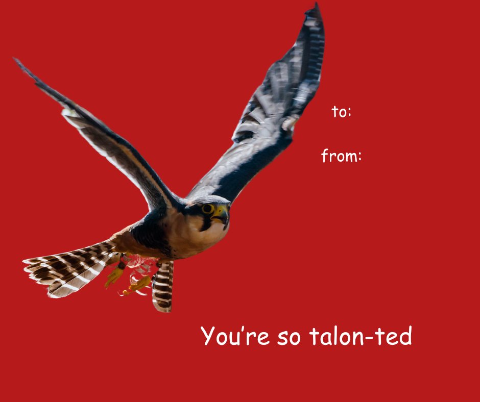 Tracy Aviary tweet media