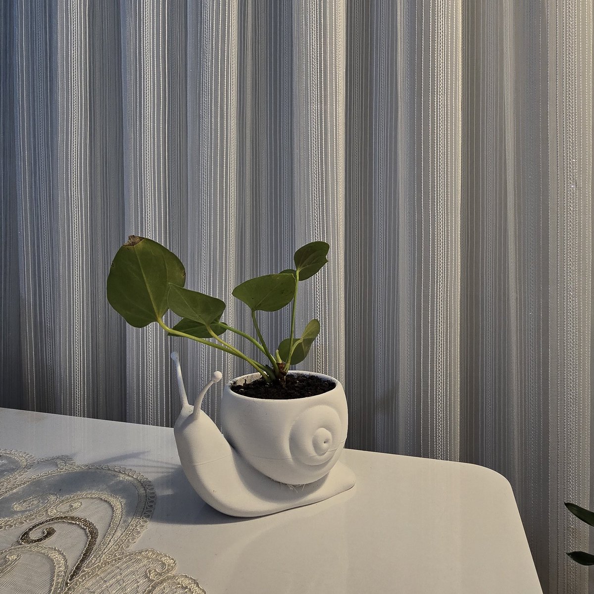 nereye böyle 
bileyim söyle