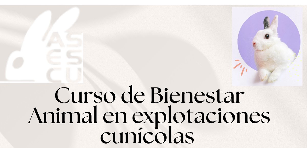 Asociación Española de Cunicultura tweet media