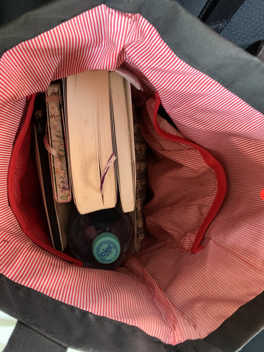 Yo con una hernia de disco, la columna demasiado derecha y el coxis gastado. 
Mi bolsa: