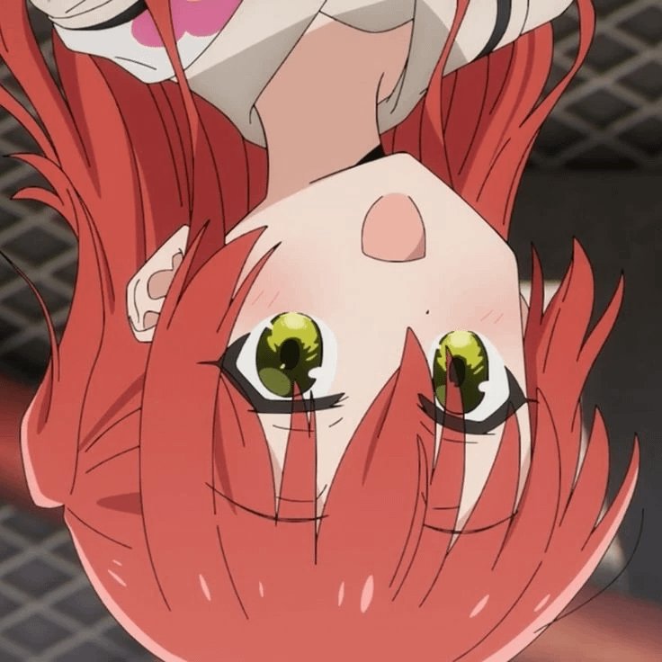 Daily Kita! tweet media