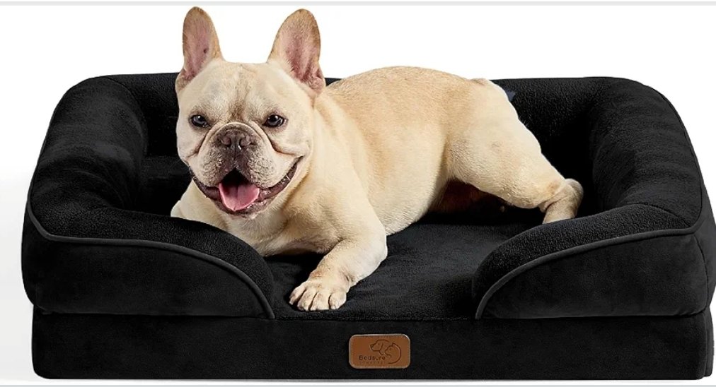 TheTrendy_Times's tweet image. 29% Off
edsure Orthopedic Dog Bed Medium Size Dogs - Washable Medium Dog Cat Bed Waterproof, Comfort Pet Couch Sofa with Washable Removable Cover, Pets Bed with Nonskid Bottom, Black, 28"
#DogLovers #dogbed #petbed #PetCare #AmazonDeals
amzn.to/4knOZX0