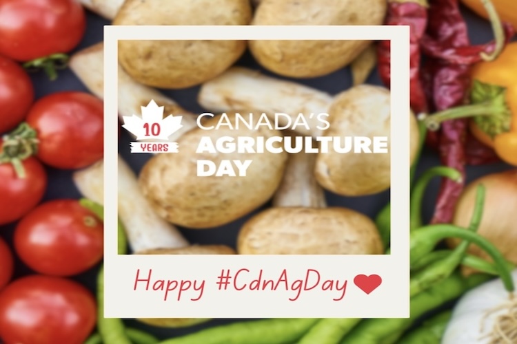 The Grower tweet media