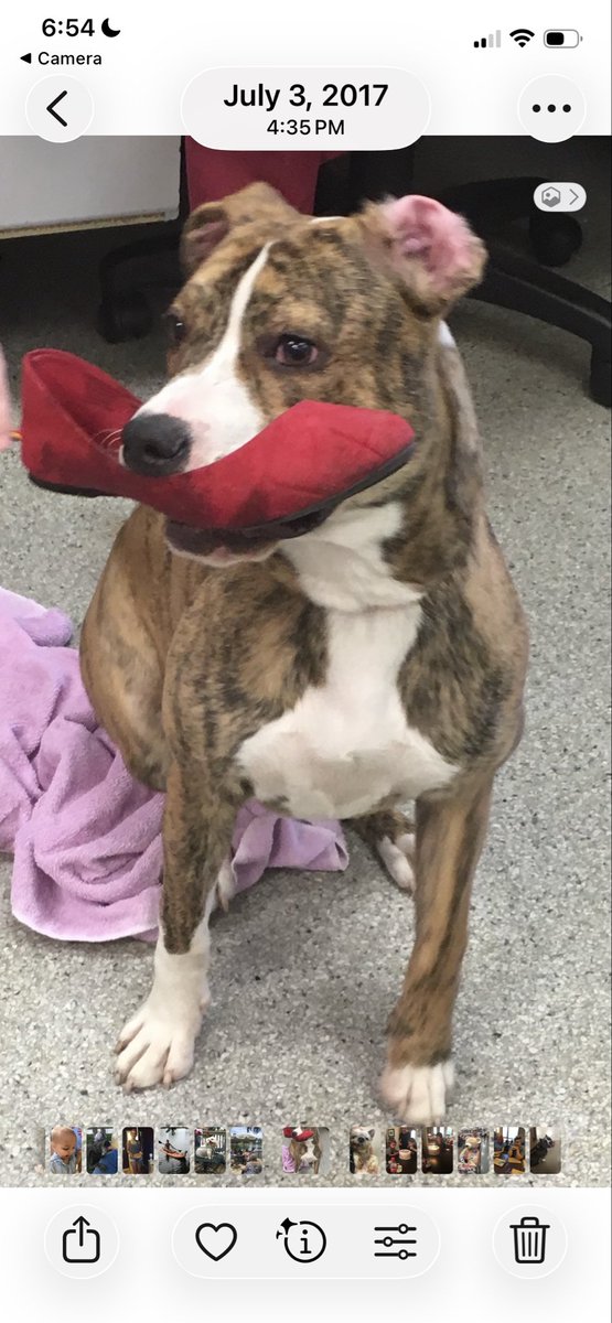 Shawn Finch tweet media