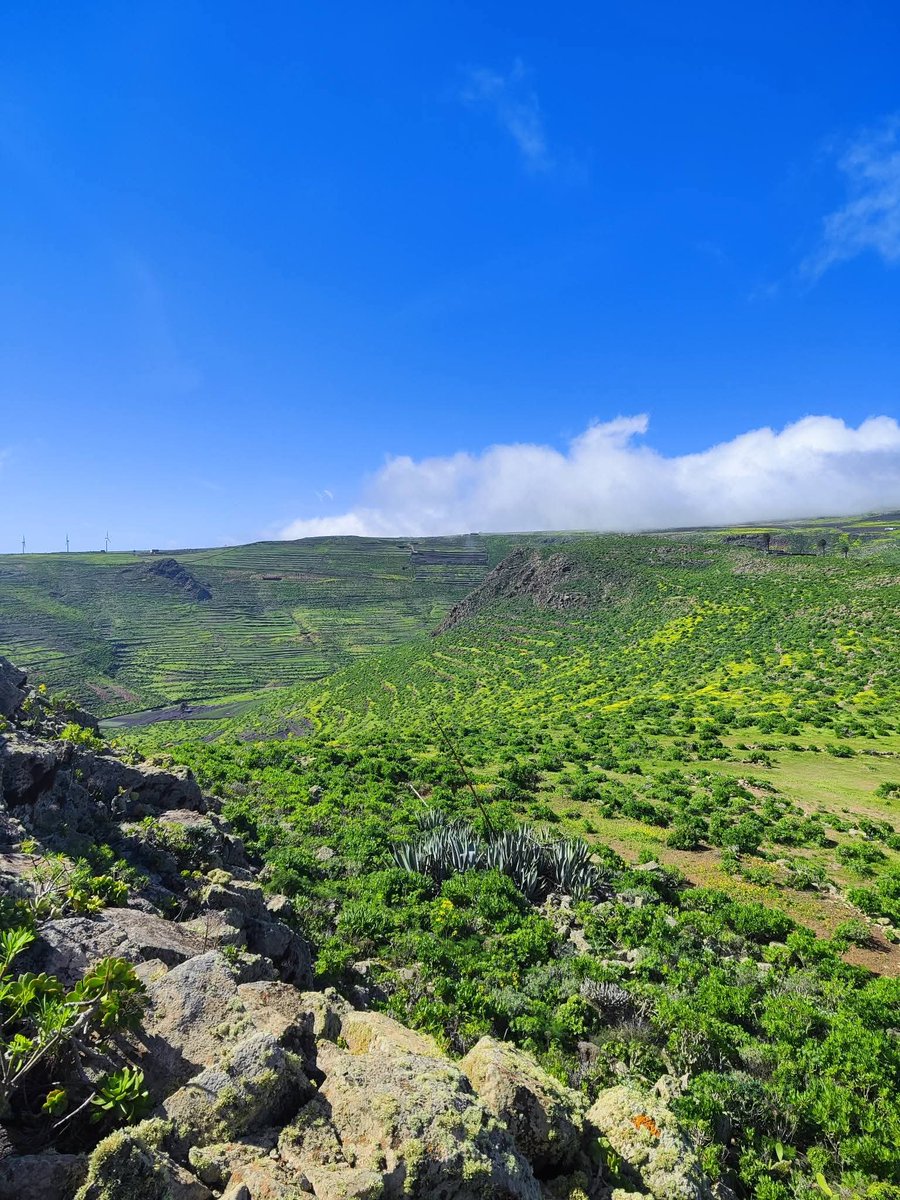 Suso Paez tweet media