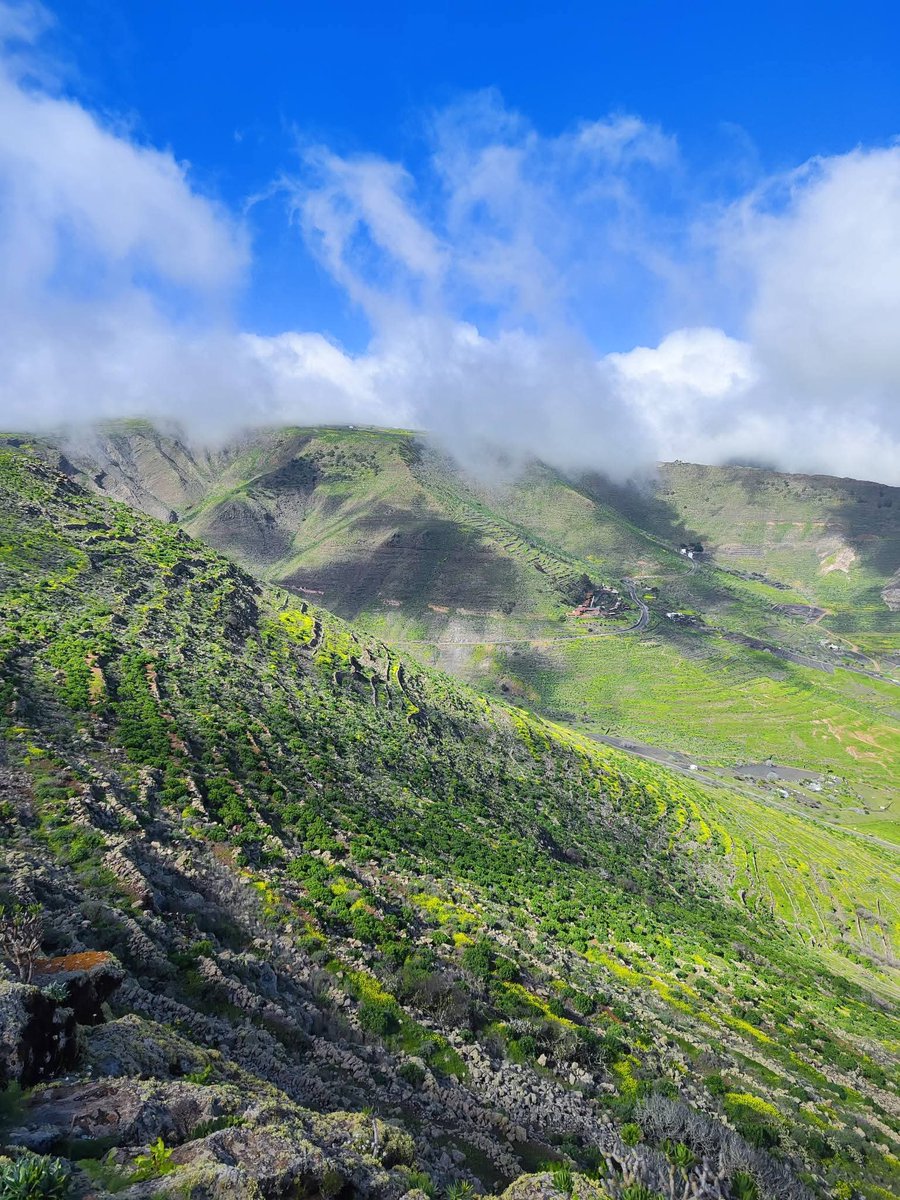 Suso Paez tweet media