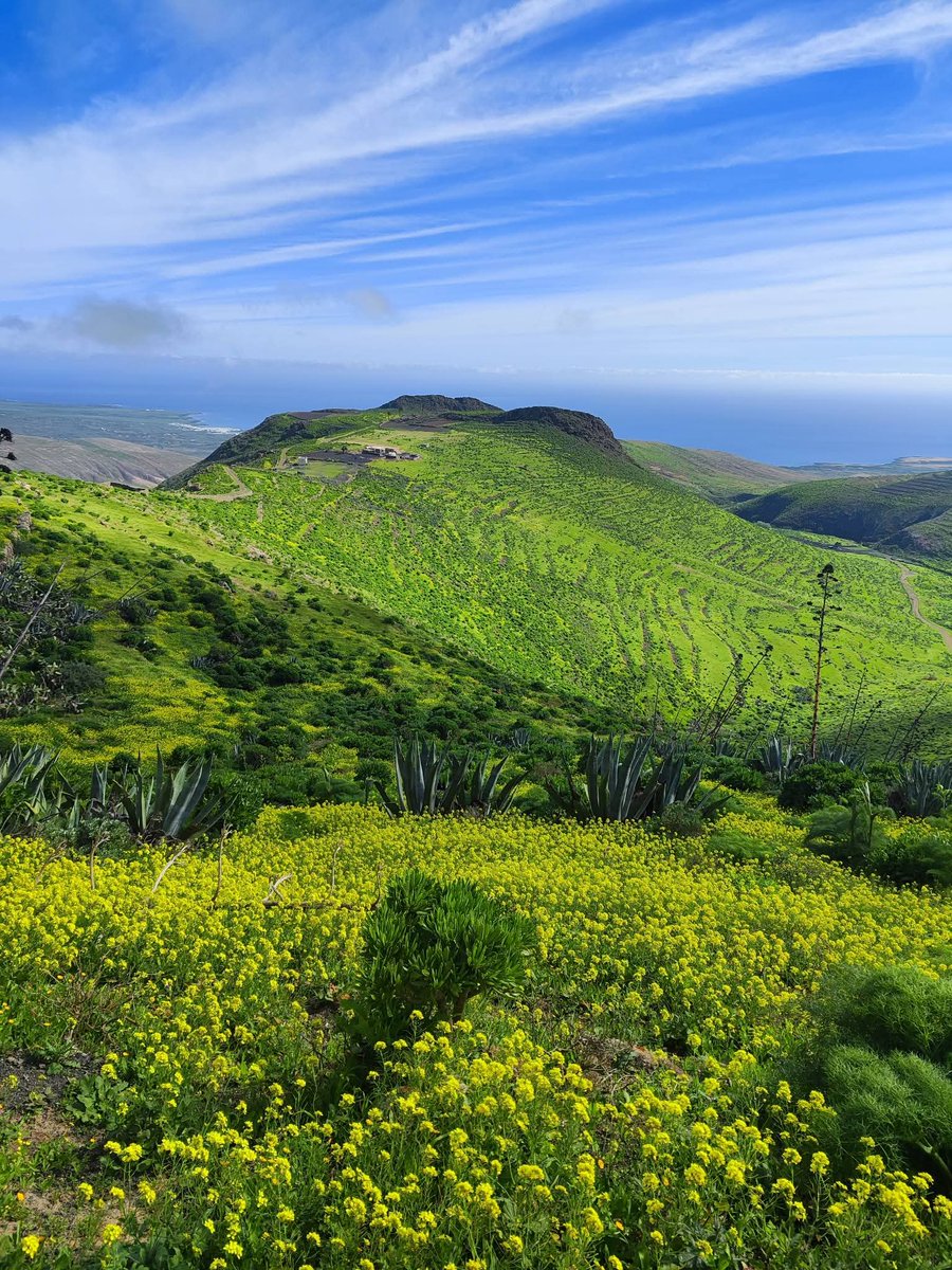 Suso Paez tweet media