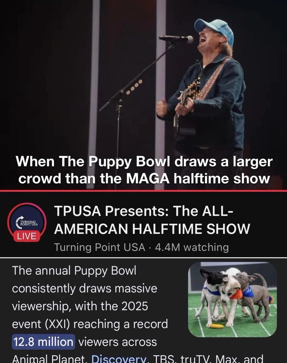 YourAnonNews's tweet image. The Puppy Bowl had 3 times more viewers than TPUSA.