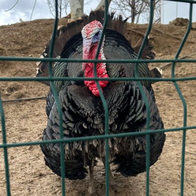itsschule's tweet photo. #YeniProfilResmi yaptığım en iyi pp https://t.co/xMnRcvRGfv