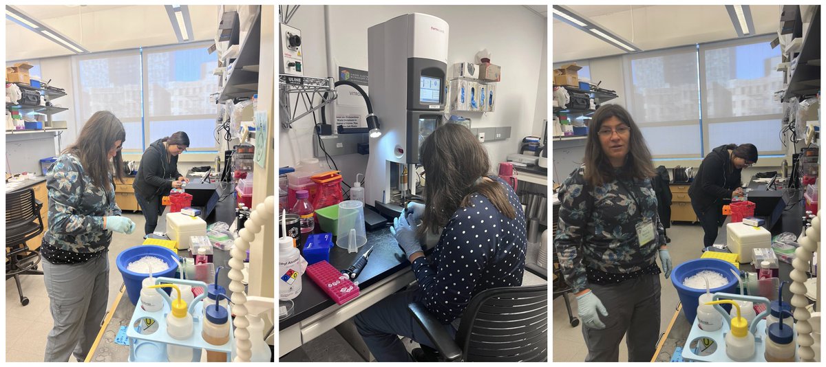 New York Structural Biology Center tweet media