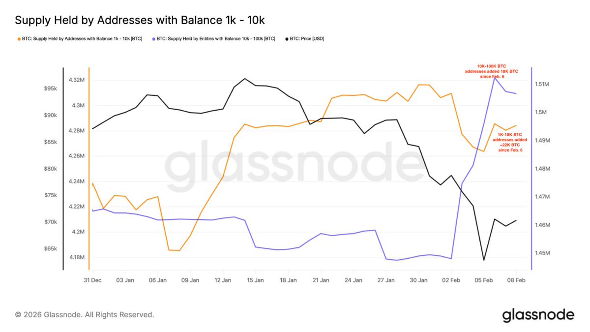Whales bought over 40,000 BTC during the current dip.

A sharp spike in accumulation has been recorded, according to on-chain data.

While retail panics, smart money keeps buying.

#Bitcoin #BTC #Crypto #Whales #OnChain #Markets