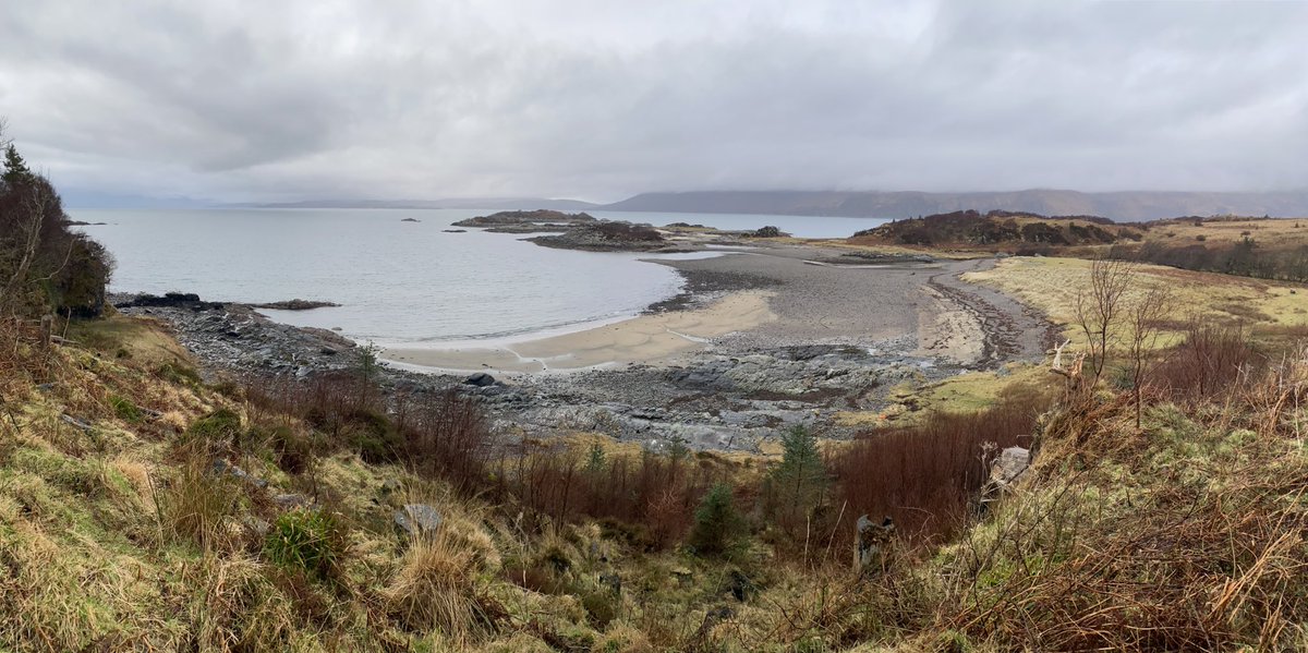 Hazel Strachan tweet media