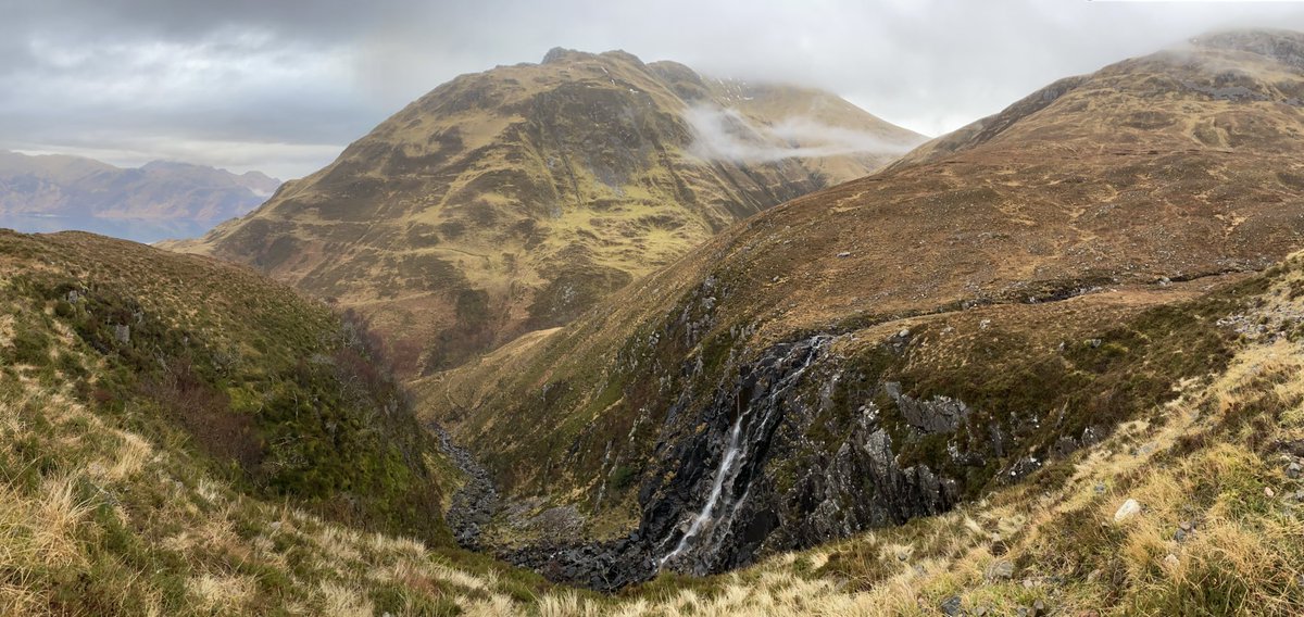 Hazel Strachan tweet media