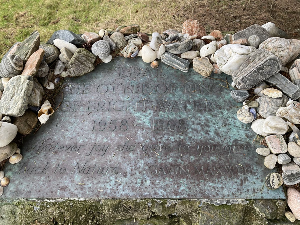 Hazel Strachan tweet media