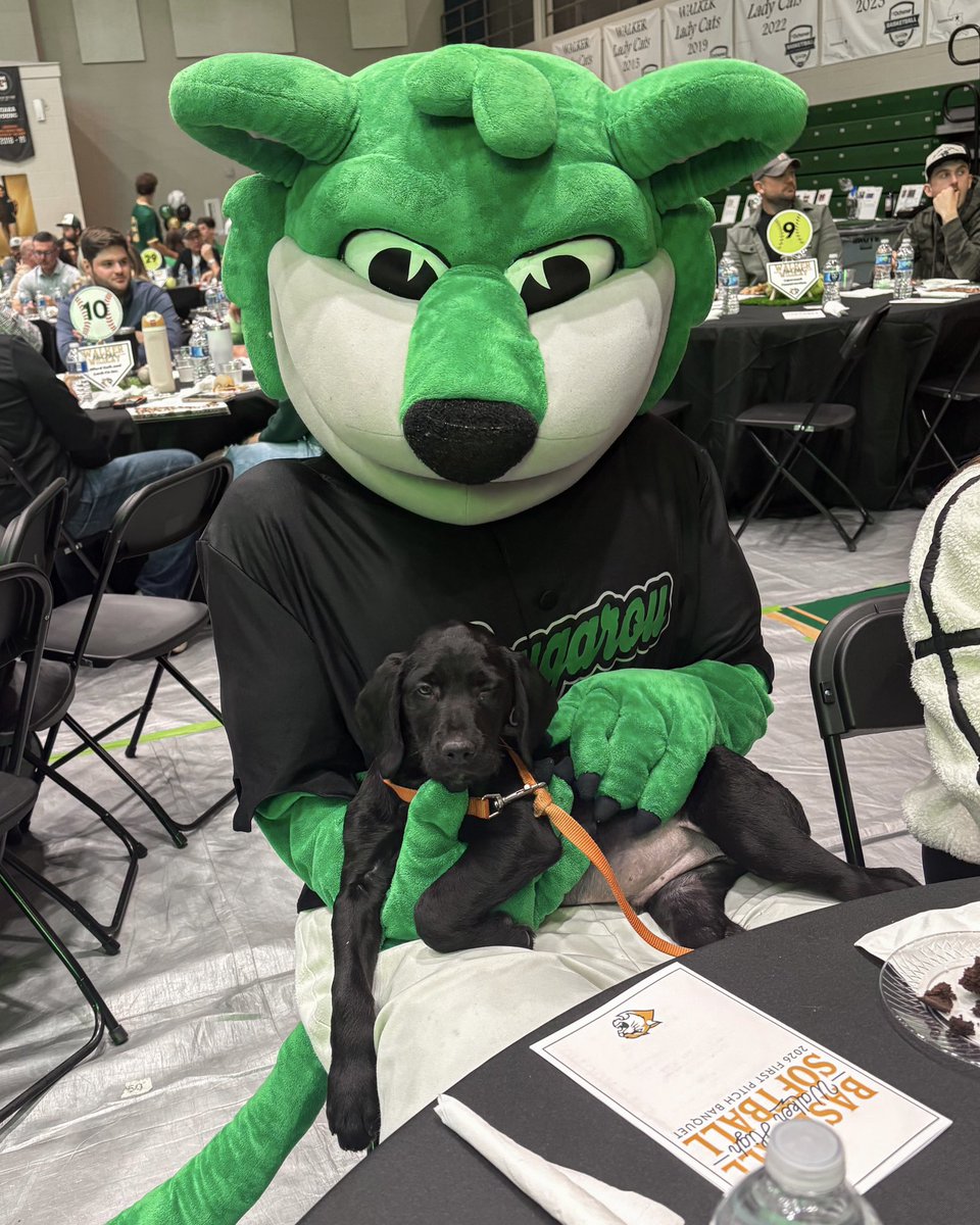 BRRougarou's tweet photo. Great night at Walker High School’s Annual First Pitch Banquet for Baseball &amp; Softball. Always proud to support the student-athletes, coaches, &amp; community leaders who continue to invest in the game &amp; the season ahead! 

#WalkerHighSchool #BatonRougeRougarou #Baseball #FirstPitch https://t.co/KbwidlUNhE