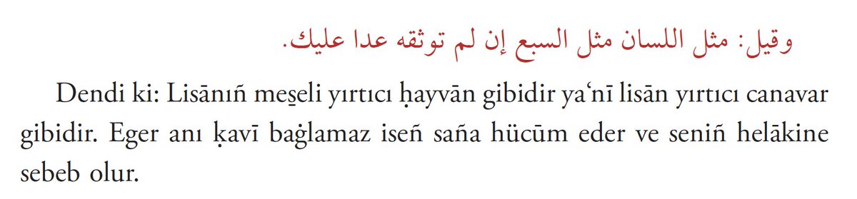 seher erdem örs🇵🇸🔻 tweet media