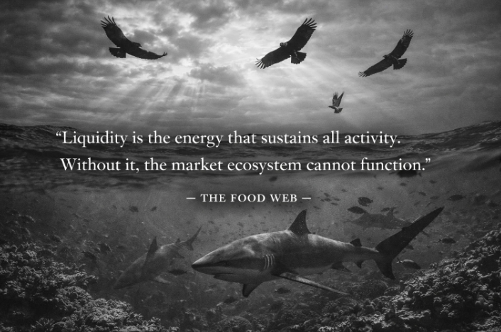 Why Markets Collapse Like Ecosystems

A forest is not organised by trees. It is organised by energy.

Markets are not organised by capital. They are organised by liquidity.

In ecology, energy flows from producers to consumers through a layered structure called a food web.