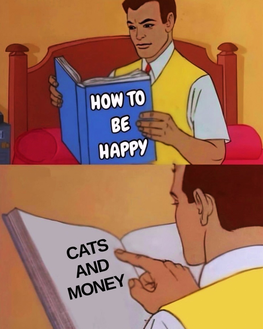 Punch Cat (@punchingcat) on Twitter photo 