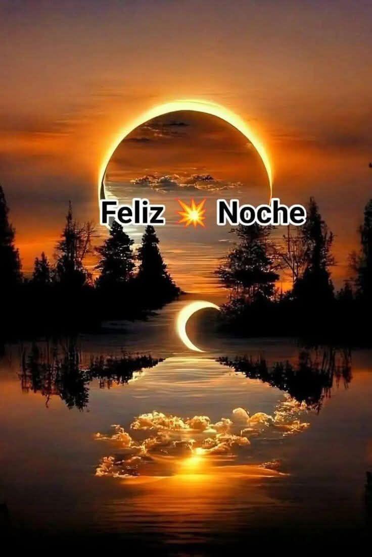 Bona nit.