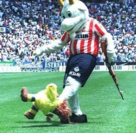 Y que chinguen a su madre esos pendejos de Coapa.