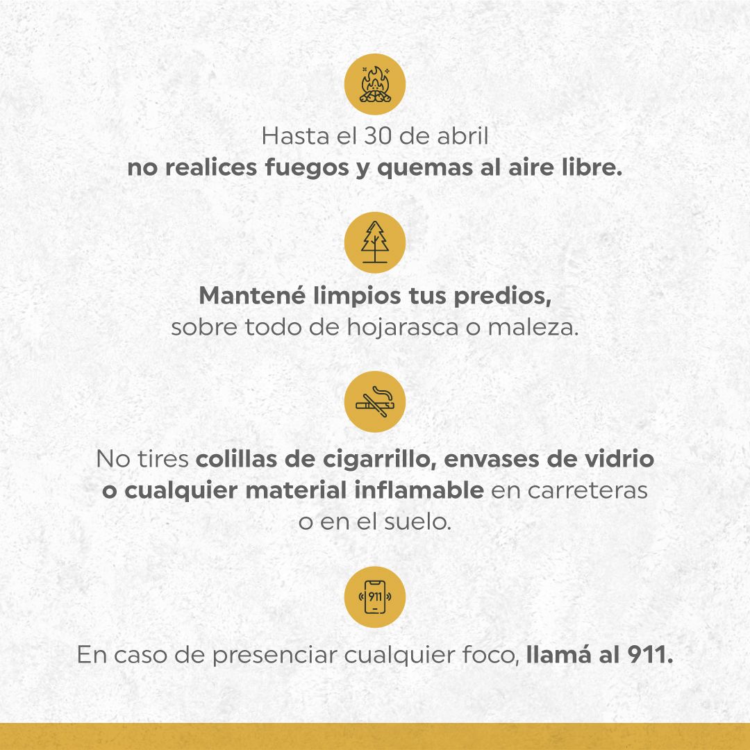 Sociedad de Productores Forestales tweet media