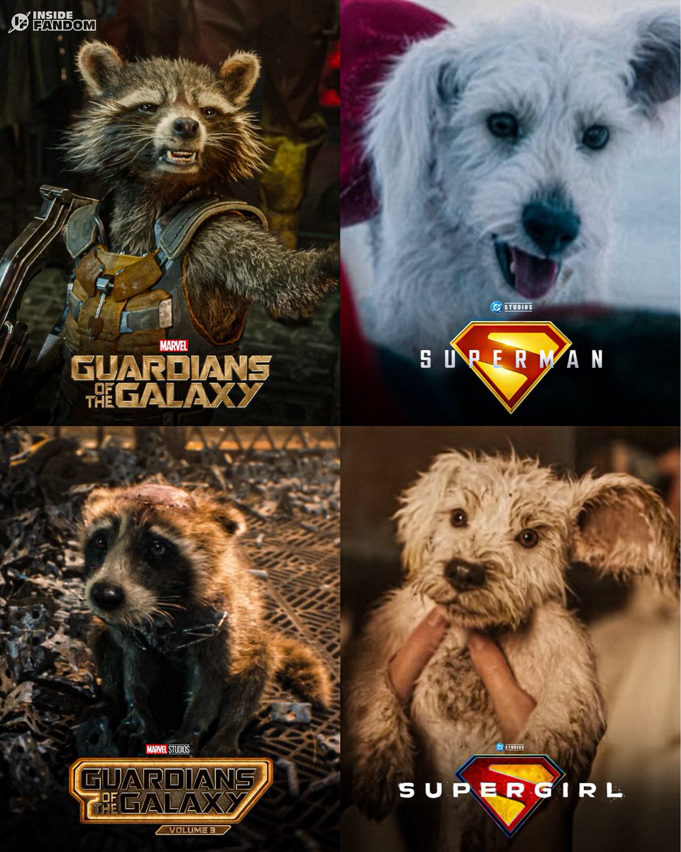 Adult 🤝 Baby

Who’s more adorable: Baby Rocket or Baby Krypto?